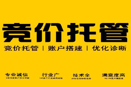 深入剖析SEM公司成功案例：数据驱动的广告策略